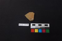 陶片藏品圖，第2張