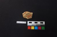 陶片藏品圖，第2張