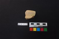 陶片藏品圖，第1張