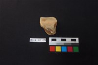 陶片藏品圖，第2張