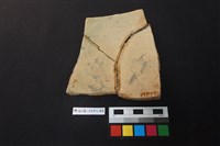 陶片藏品圖，第2張