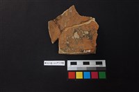 陶片藏品圖，第2張