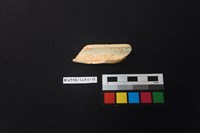 陶片藏品圖，第2張