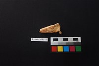 陶片藏品圖，第2張