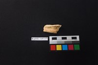 陶片藏品圖，第2張