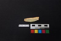 陶片藏品圖，第1張