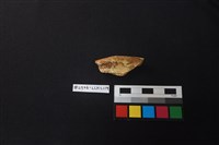 陶片藏品圖，第2張