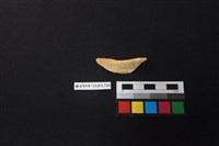 陶片藏品圖，第1張