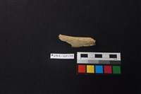 陶片藏品圖，第1張