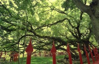 1950至2006年臺灣常民生活藏品圖，第1張