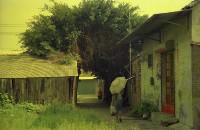 1950至2006年臺灣常民生活藏品圖，第1張