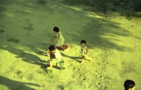 1950至2006年臺灣常民生活藏品圖，第1張
