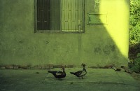 1950至2006年臺灣常民生活藏品圖，第1張