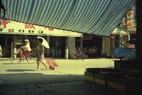 1950至2006年臺灣常民生活藏品圖，第1張