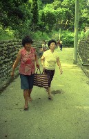 1950至2006年臺灣常民生活藏品圖，第1張