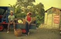 1950至2006年臺灣常民生活藏品圖，第1張