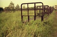 1950至2006年臺灣常民生活藏品圖，第1張