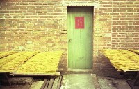 1950至2006年臺灣常民生活藏品圖，第1張