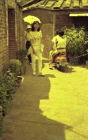 1950至2006年臺灣常民生活藏品圖，第1張