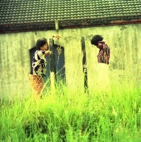 1950至2006年臺灣常民生活藏品圖，第1張