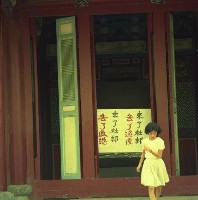 1950至2006年臺灣常民生活藏品圖，第1張