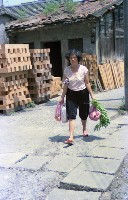 1950至2006年臺灣常民生活藏品圖，第1張