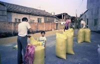 1950至2006年臺灣常民生活藏品圖，第1張