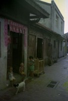1950至2006年臺灣常民生活藏品圖，第1張