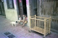1950至2006年臺灣常民生活藏品圖，第1張