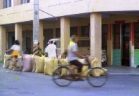 1950至2006年臺灣常民生活藏品圖，第1張