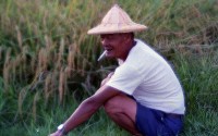 1950至2006年臺灣常民生活藏品圖，第1張