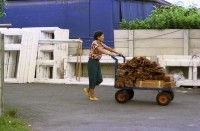 1950至2006年臺灣常民生活藏品圖，第1張