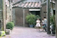 1950至2006年臺灣常民生活藏品圖，第1張