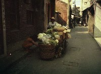 1950至2006年臺灣常民生活藏品圖，第1張