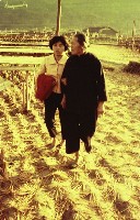 1950至2006年臺灣常民生活藏品圖，第1張