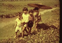 1950至2006年臺灣常民生活藏品圖，第1張