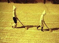 1950至2006年臺灣常民生活藏品圖，第1張