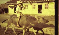 1950至2006年臺灣常民生活藏品圖，第1張