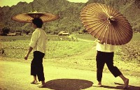 1950至2006年臺灣常民生活藏品圖，第1張
