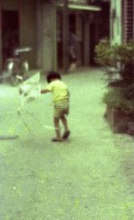 1950至2006年臺灣常民生活藏品圖，第1張