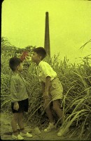 1950至2006年臺灣常民生活藏品圖，第1張