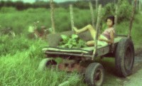 1950至2006年臺灣常民生活藏品圖，第1張