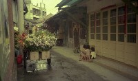 1950至2006年臺灣常民生活藏品圖，第1張