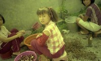 1950至2006年臺灣常民生活藏品圖，第1張