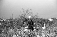 1950至2006年臺灣常民生活藏品圖，第1張