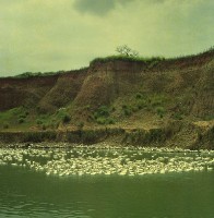 1950至2006年臺灣常民生活藏品圖，第1張