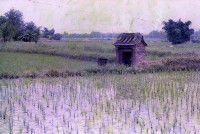 1950至2006年臺灣常民生活藏品圖，第1張