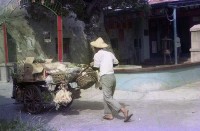 1950至2006年臺灣常民生活藏品圖，第1張