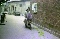 1950至2006年臺灣常民生活藏品圖，第1張