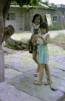 1950至2006年臺灣常民生活藏品圖，第1張